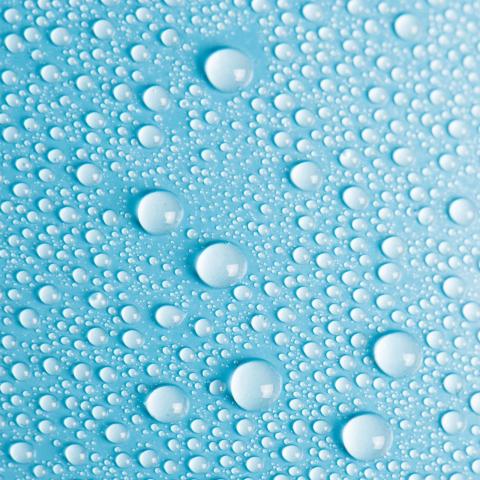 Explore the Wonders of Our Pure Water