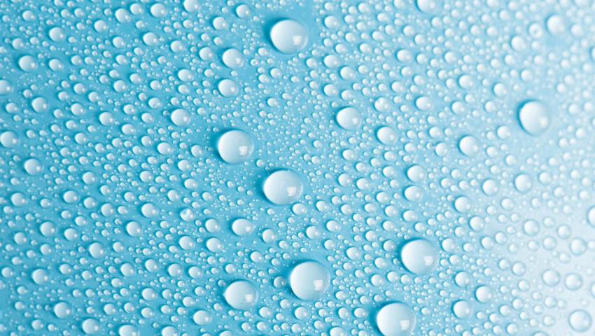 Explore the Wonders of Our Pure Water